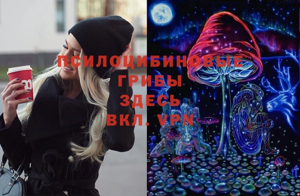 прущие грибы Беломорск