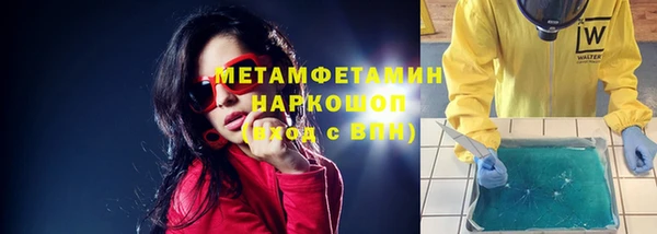 прущие грибы Беломорск