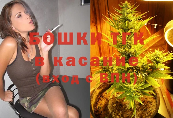 прущие грибы Беломорск