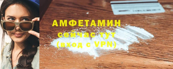 прущие грибы Беломорск