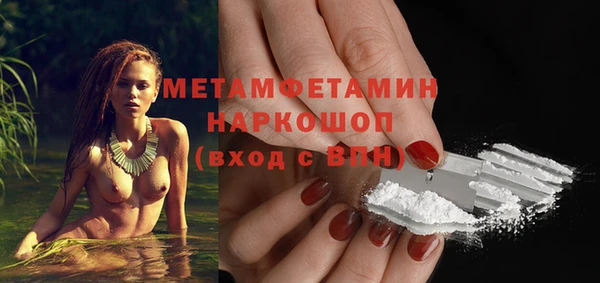 прущие грибы Беломорск