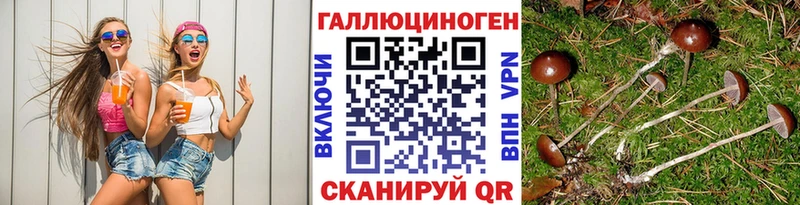 Галлюциногенные грибы MAGIC MUSHROOMS  купить закладку  Мегион 